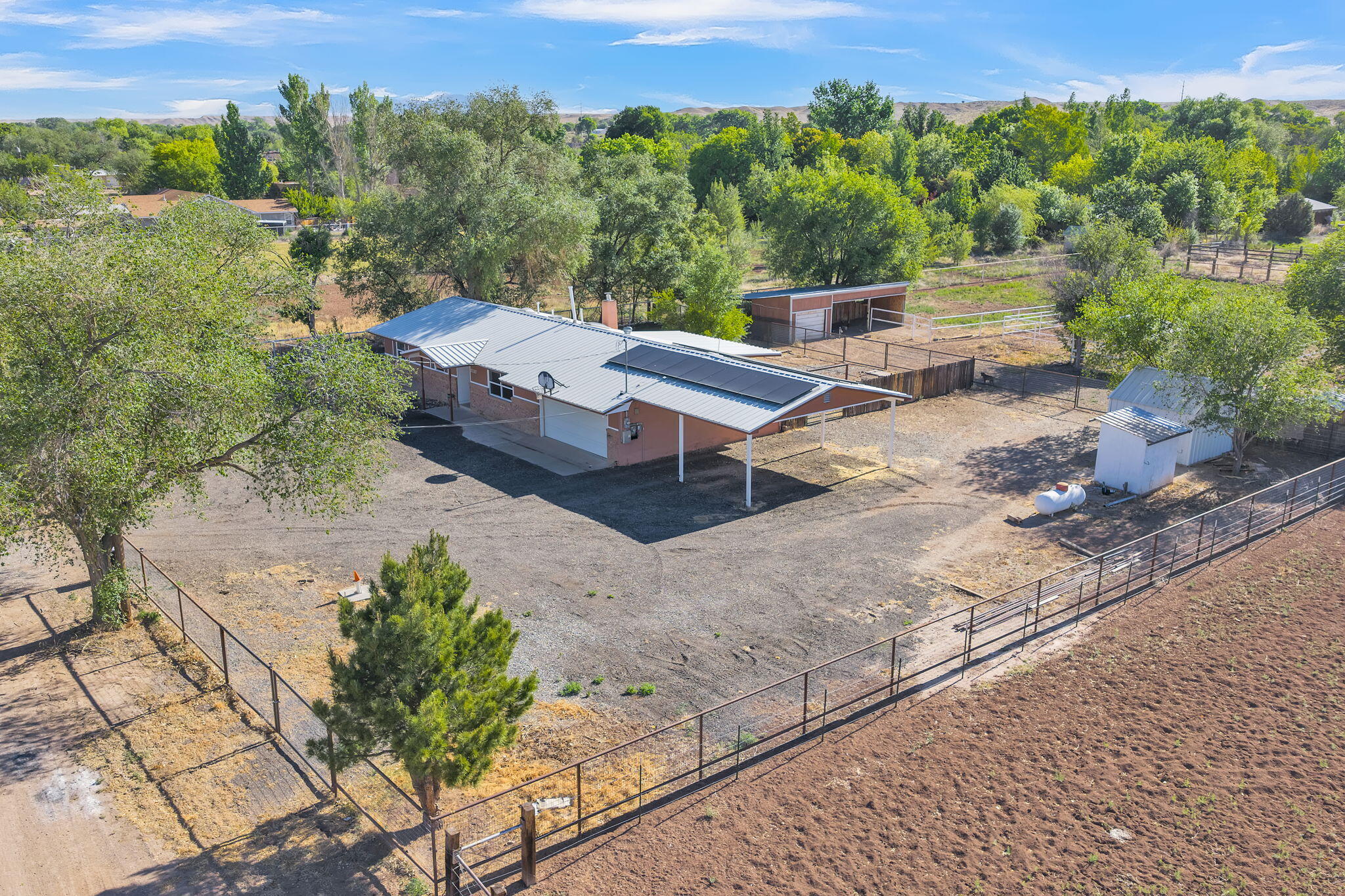 11 Coyote Lane
