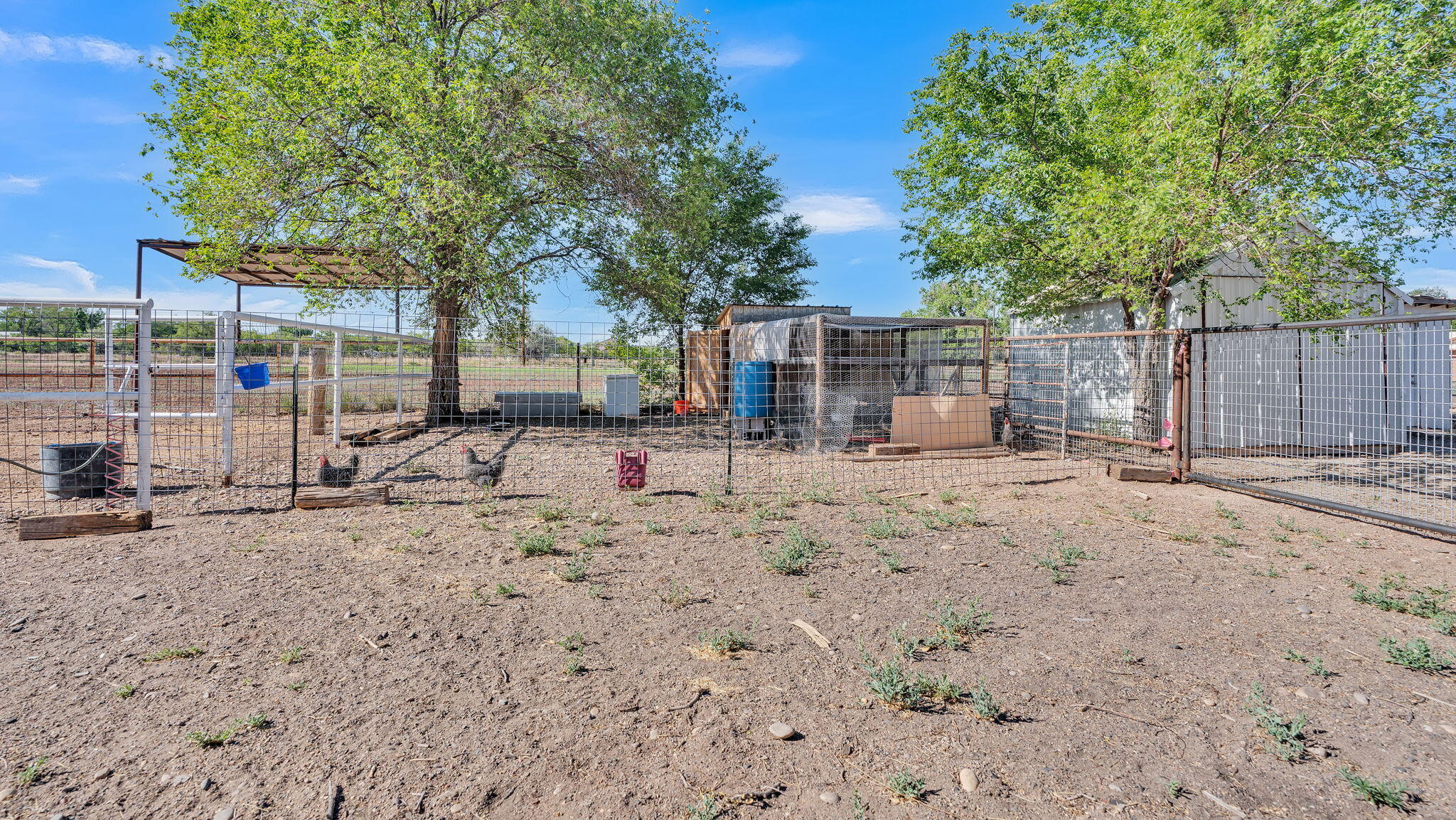 11 Coyote Lane