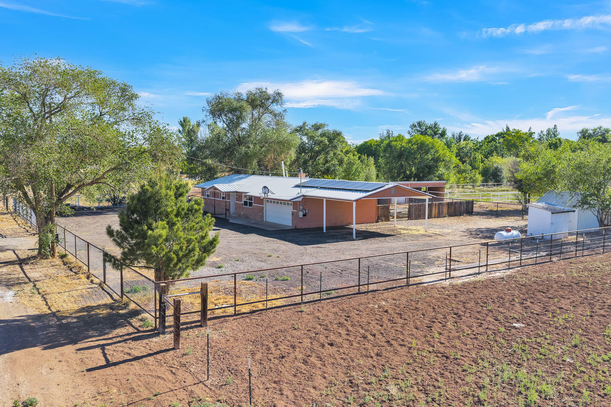 11 Coyote Lane