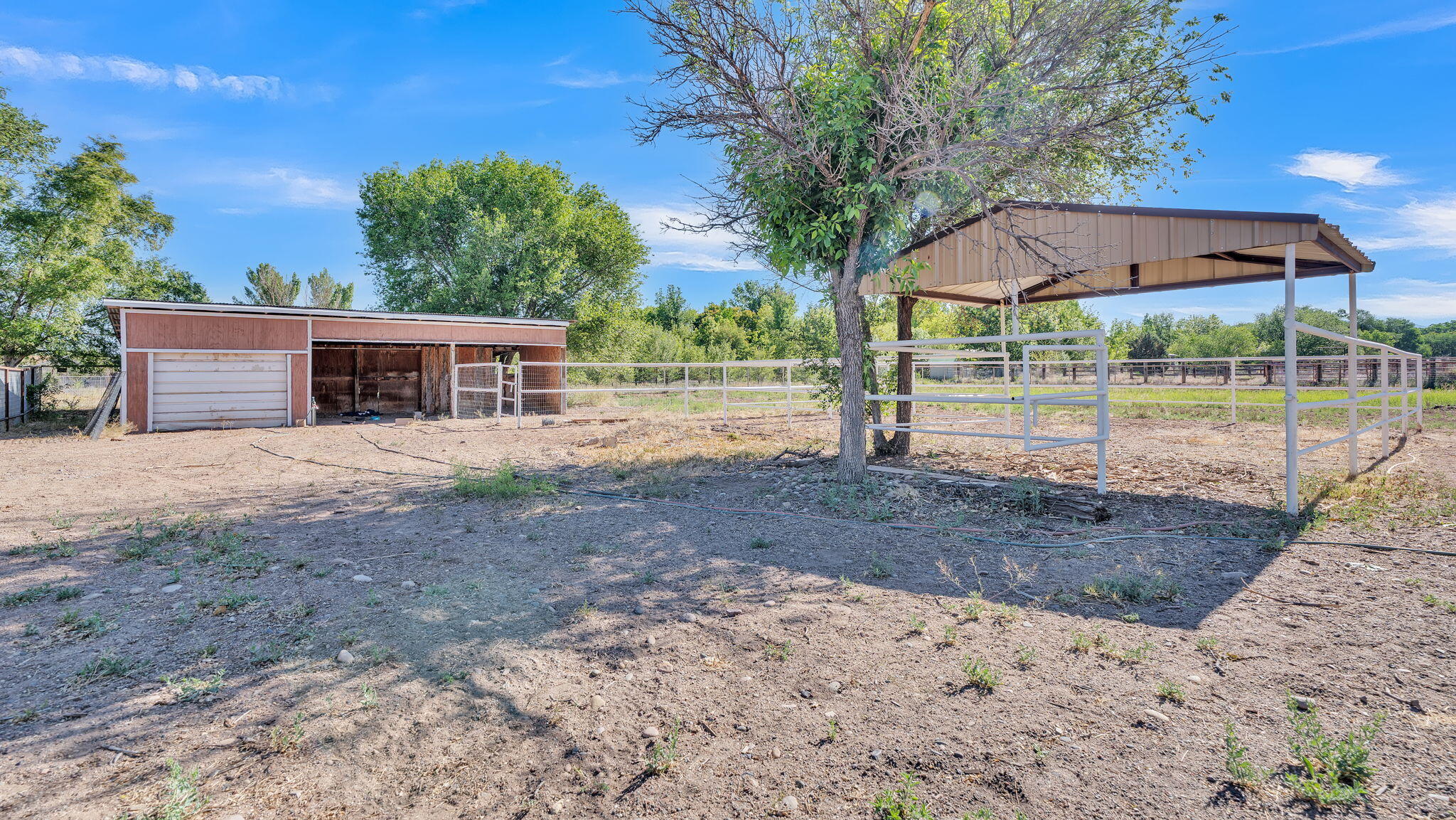 11 Coyote Lane