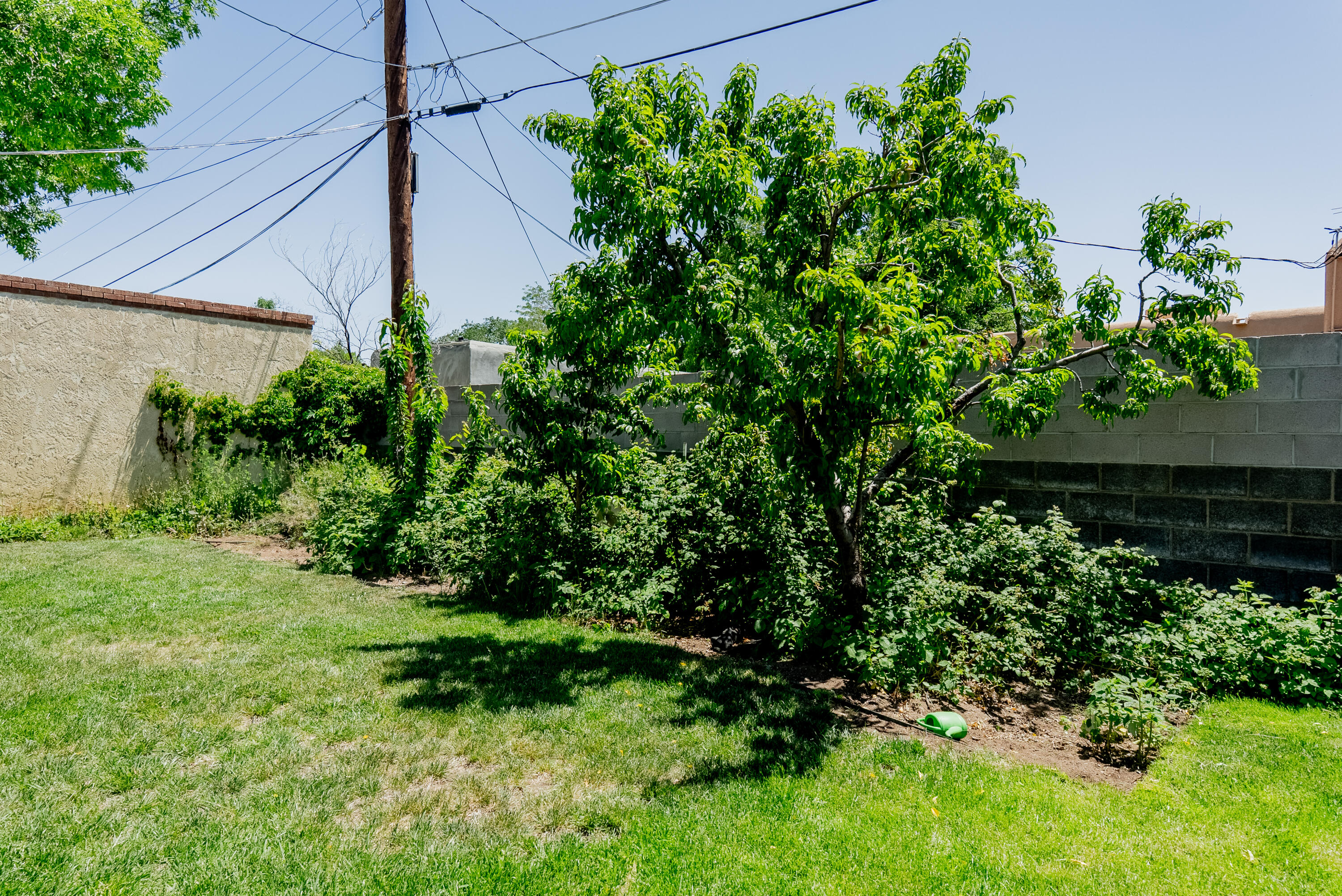 4220 Courtney Avenue NE