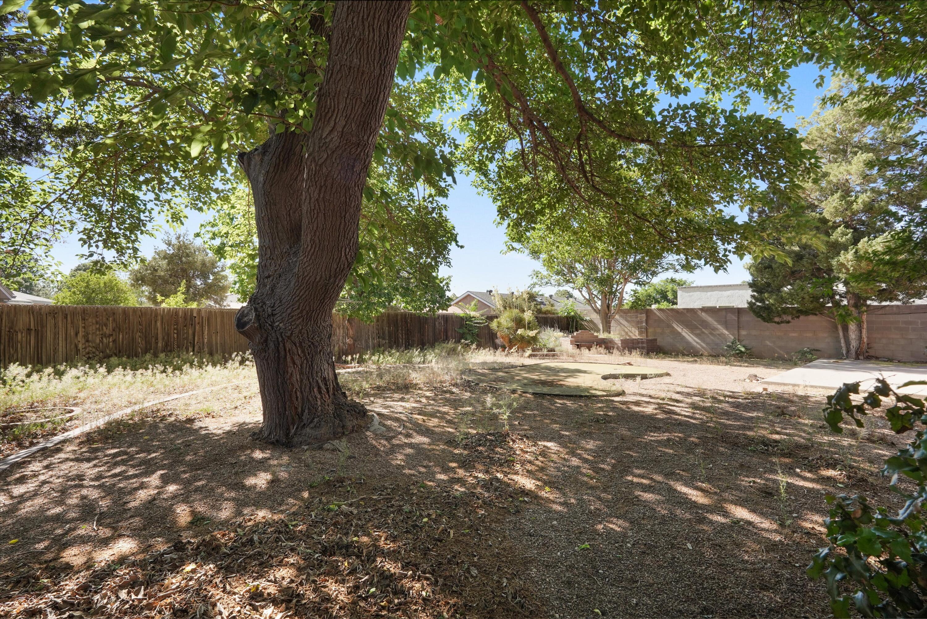 4513 Andrew Drive NE