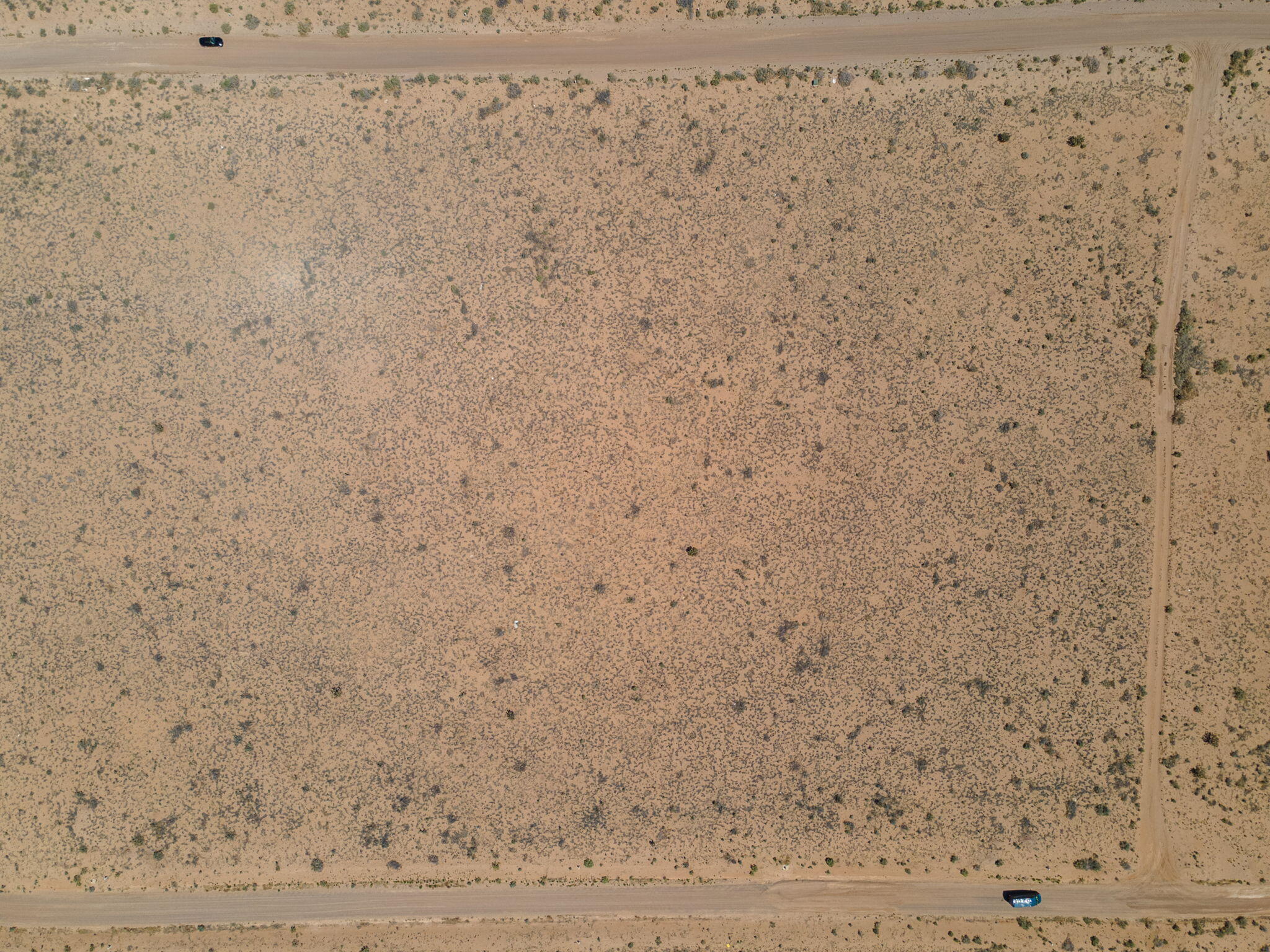 Starry Sky Avenue NE
