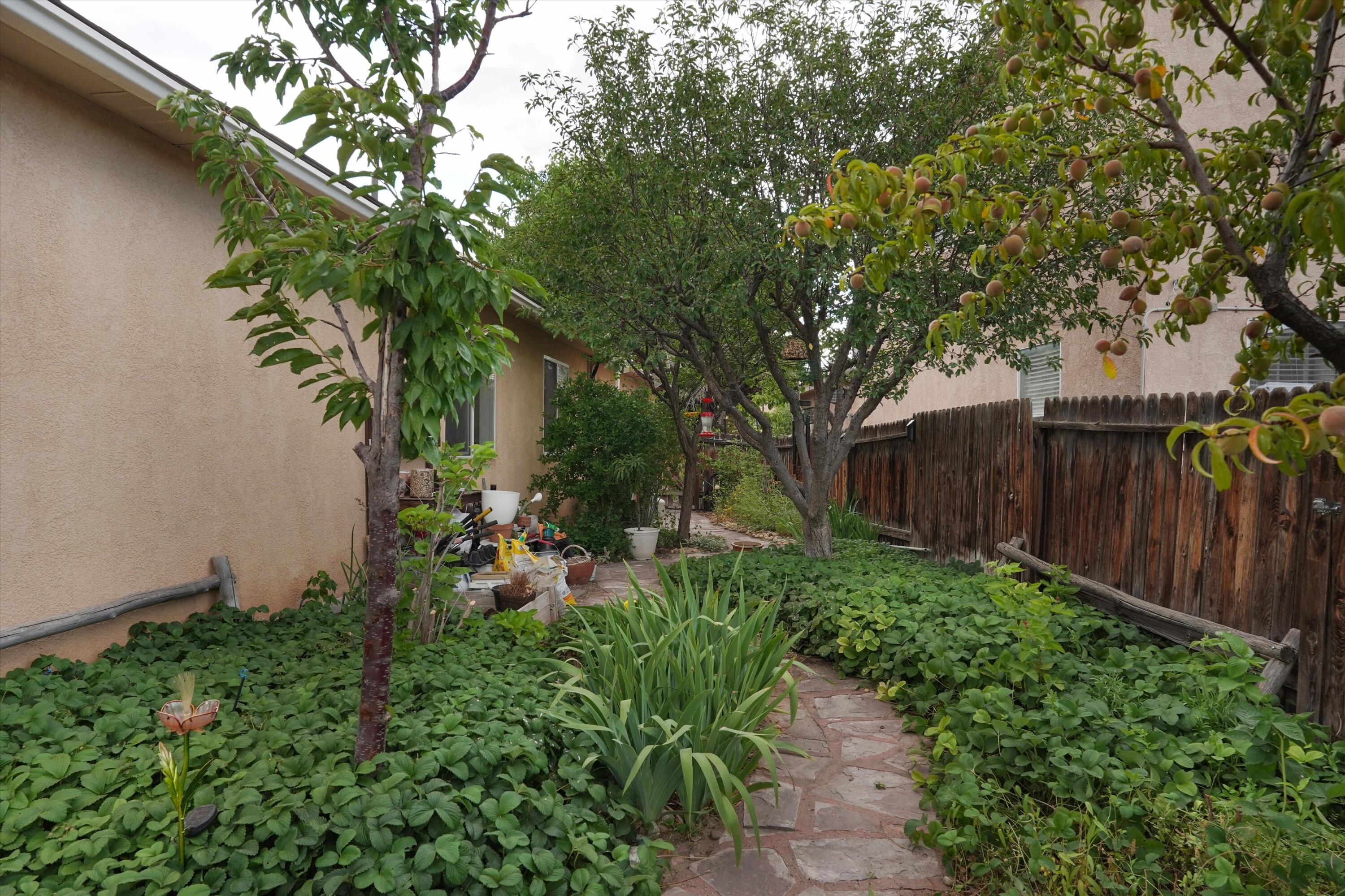 936 Cockatiel Drive SW