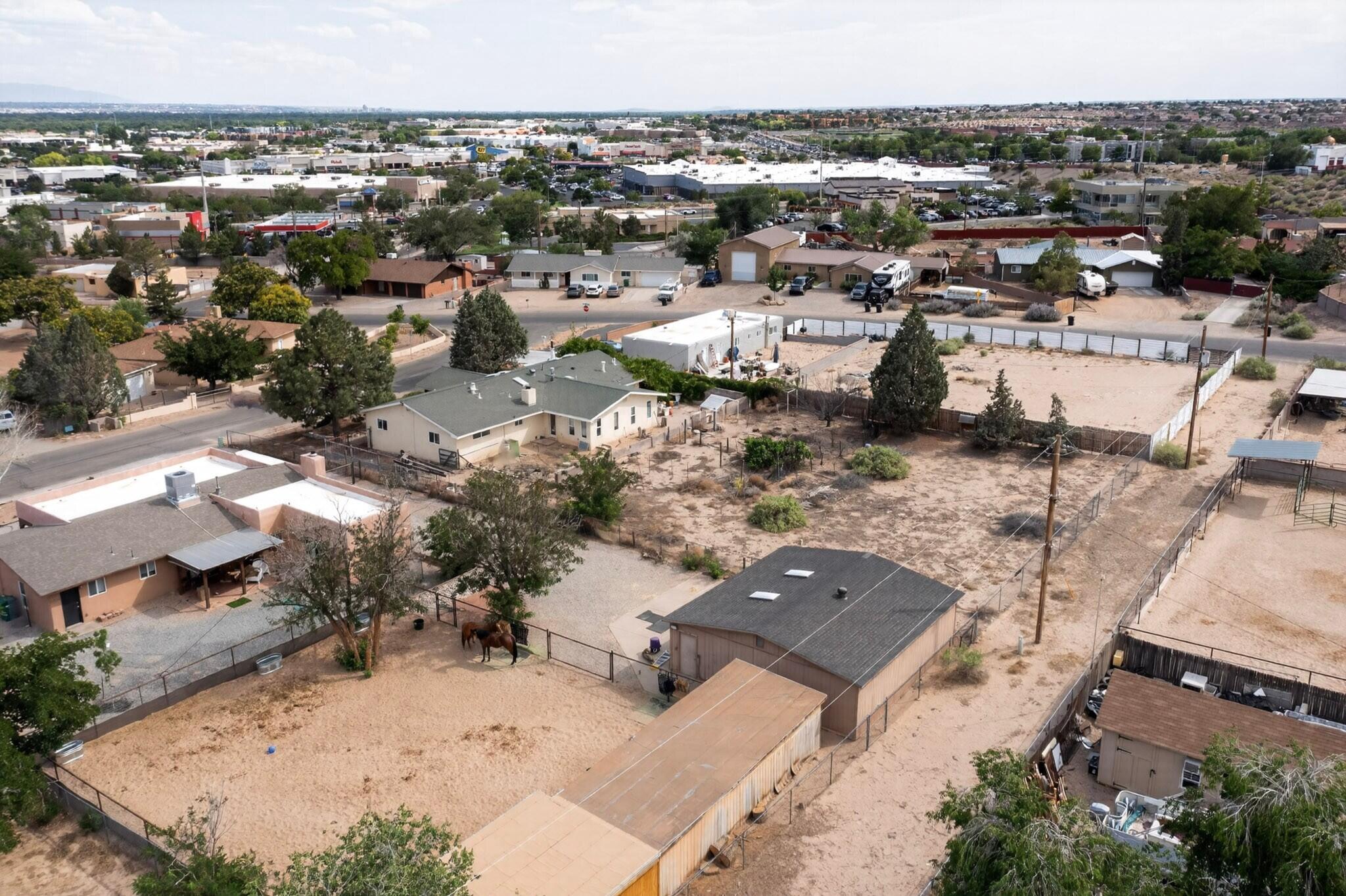 10605 Calle De Elena