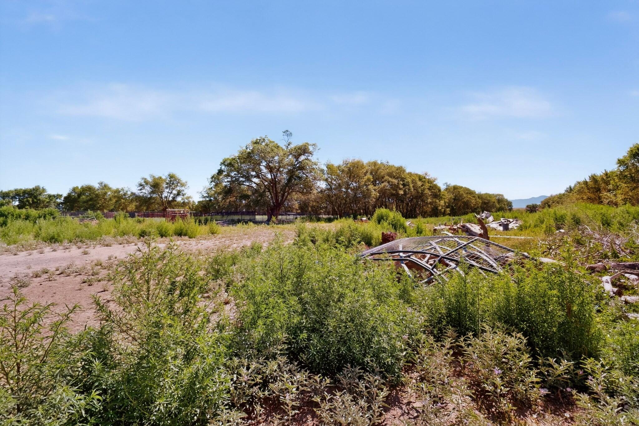 2669 NM HWY 47