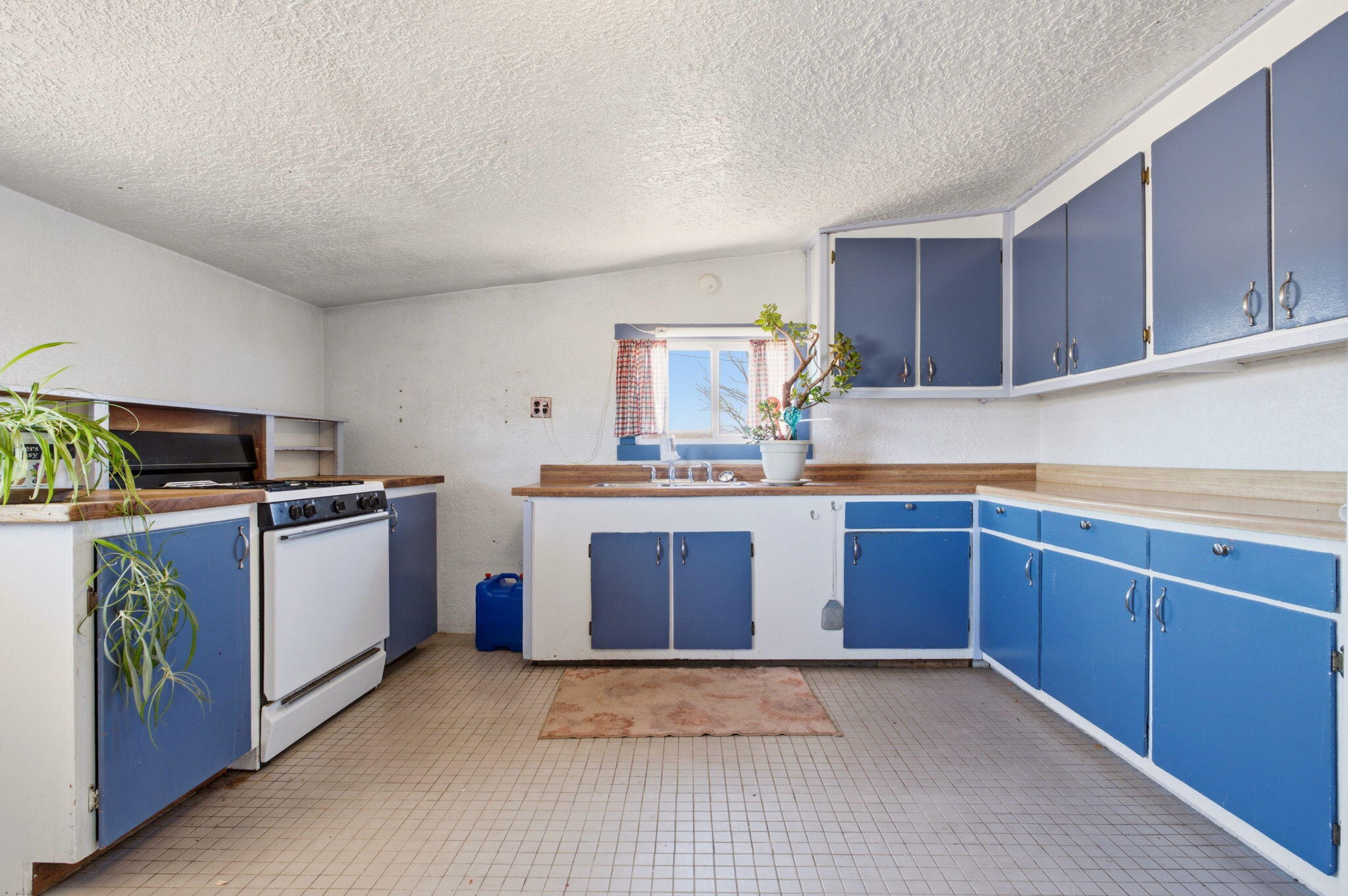 50 Cottonwood Road