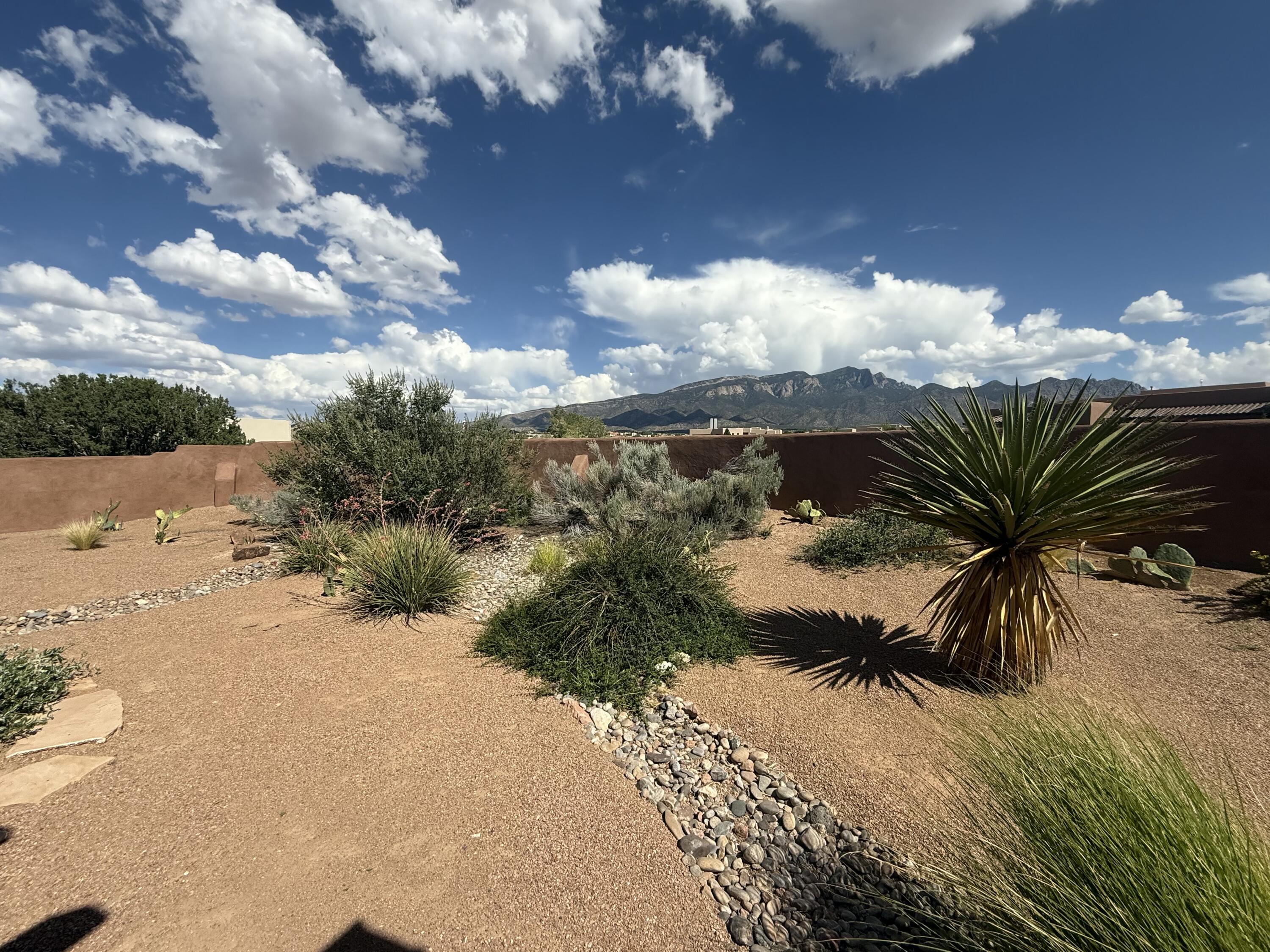 54 Petroglyph Trail