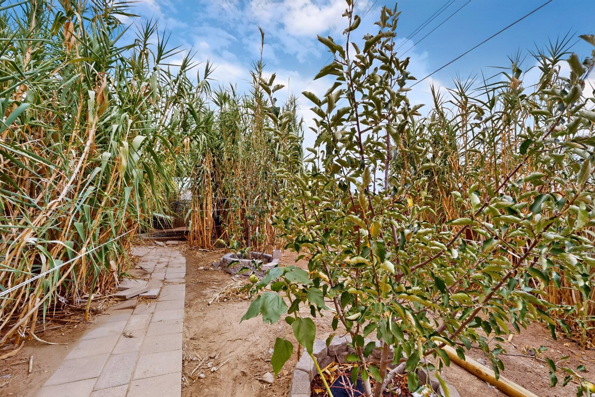 1314 Del Monte Trail SW