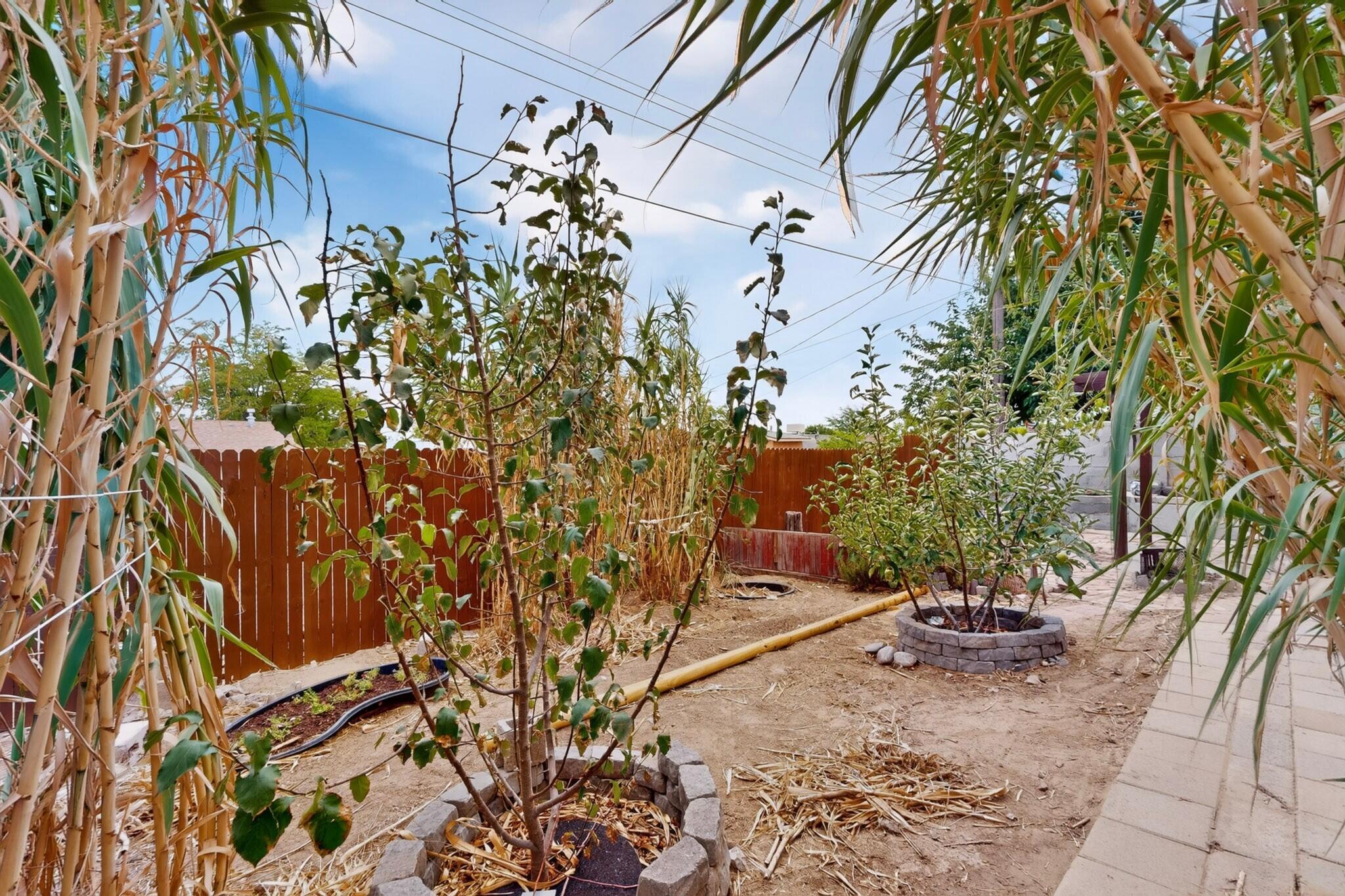1314 Del Monte Trail SW