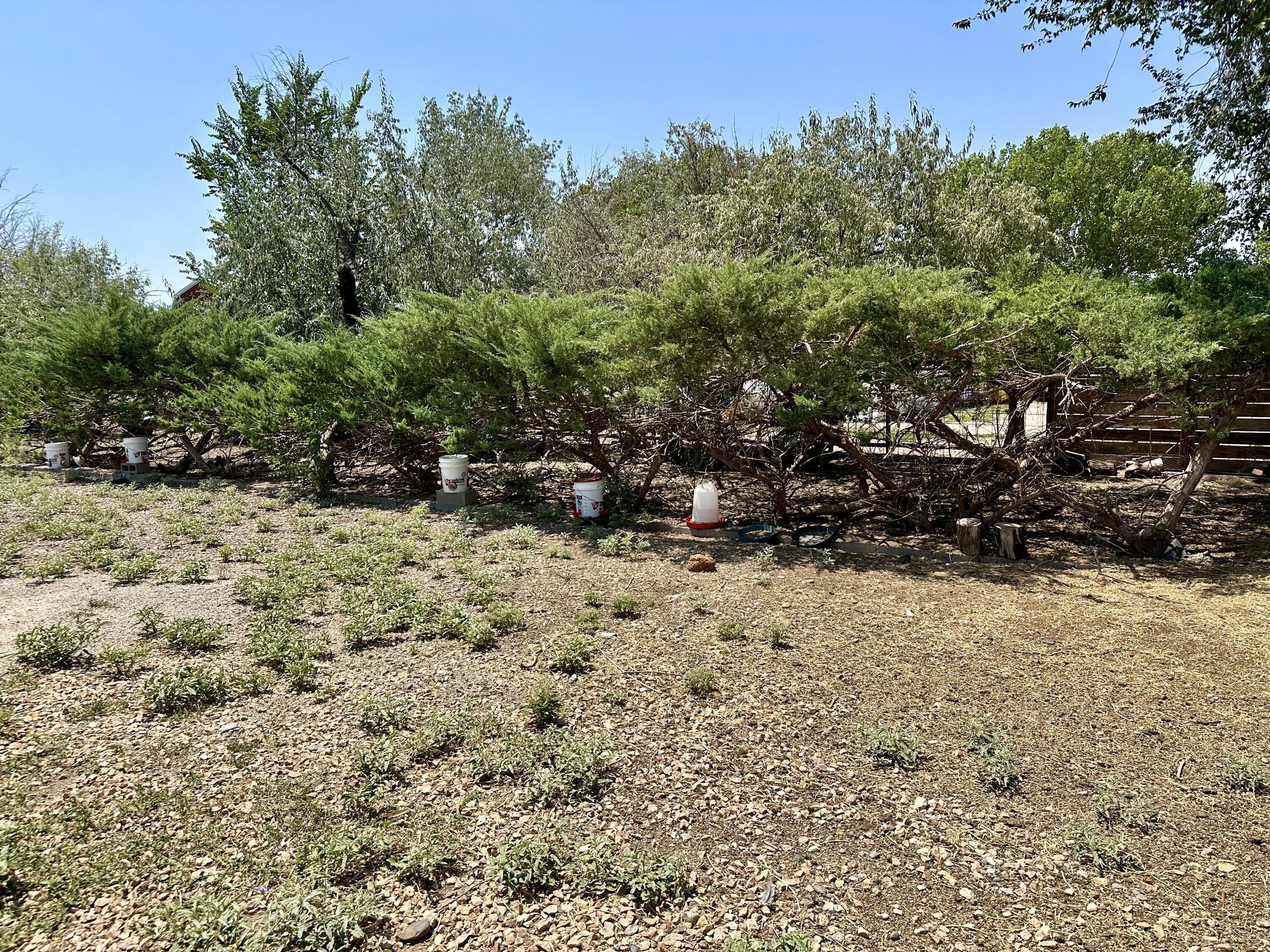 6 Adobe Lane