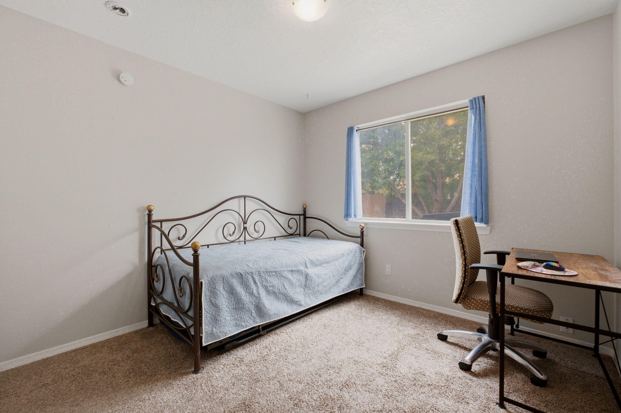 8 Apache Plume Road