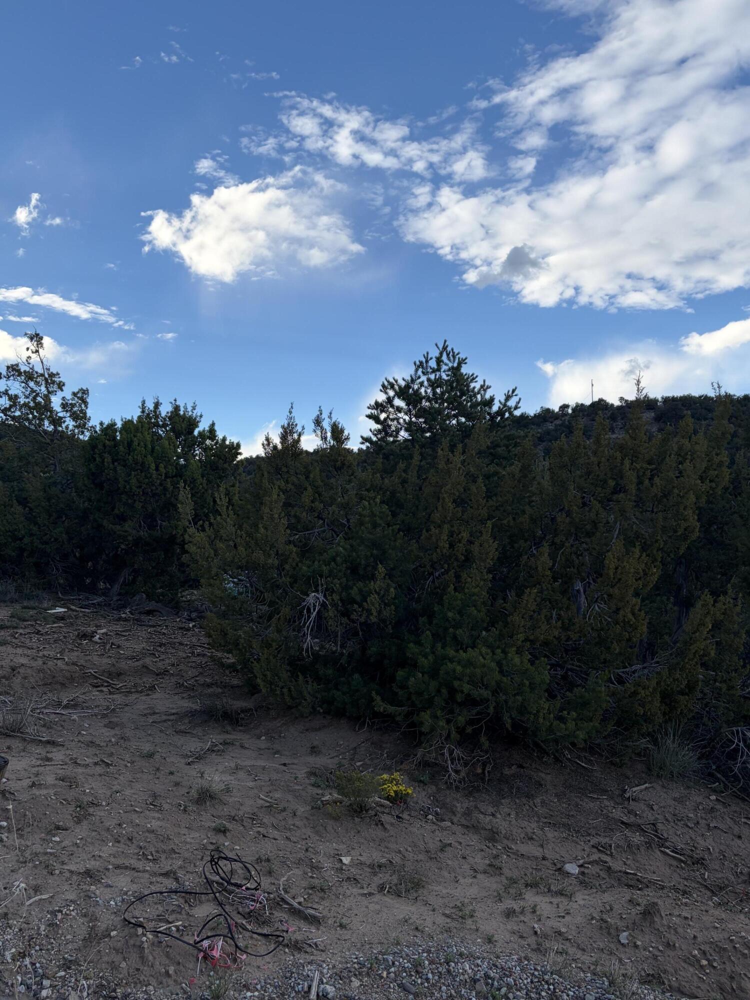 Skyline Ct Tract 5