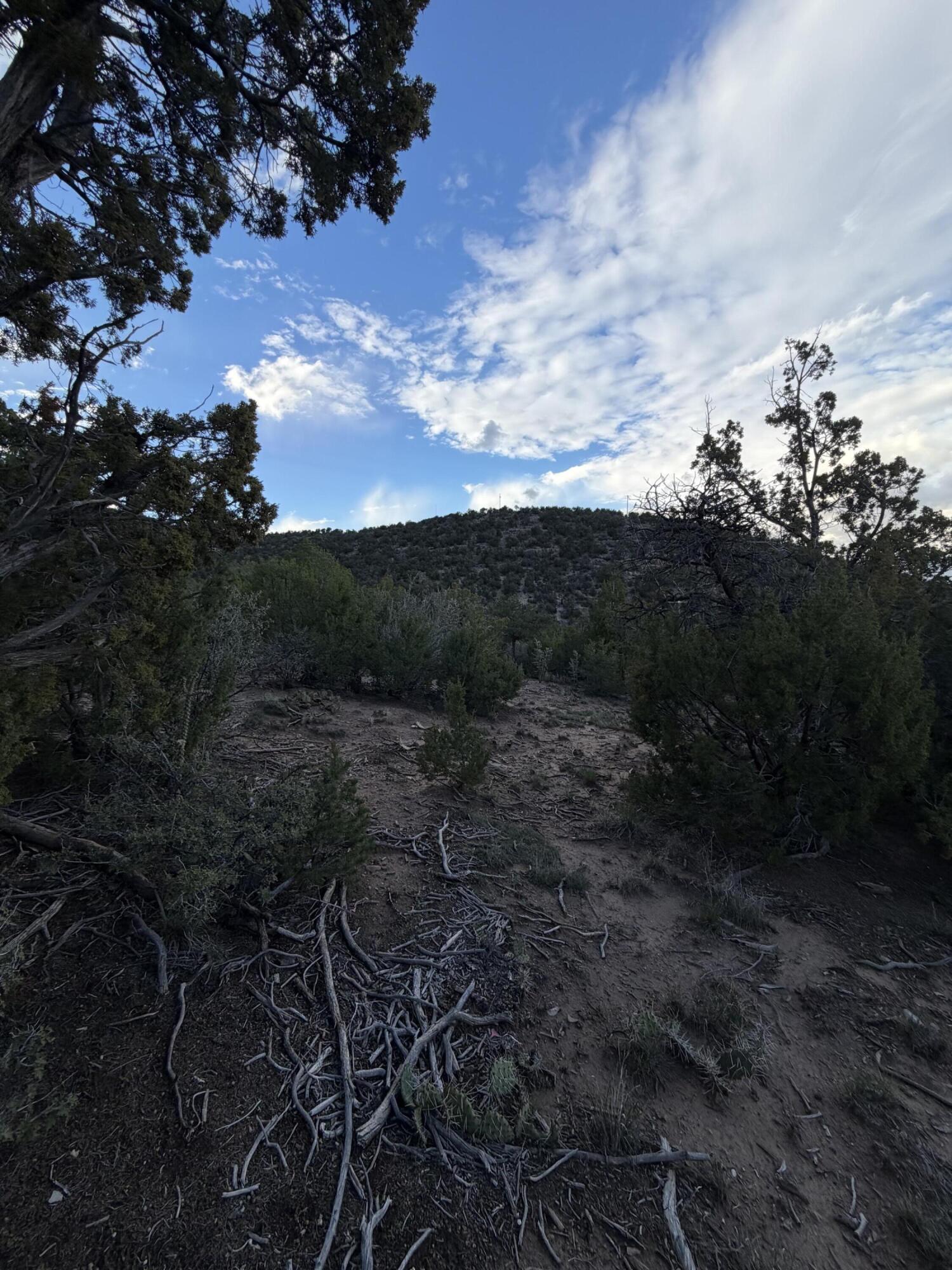 Skyline Ct Tract 5