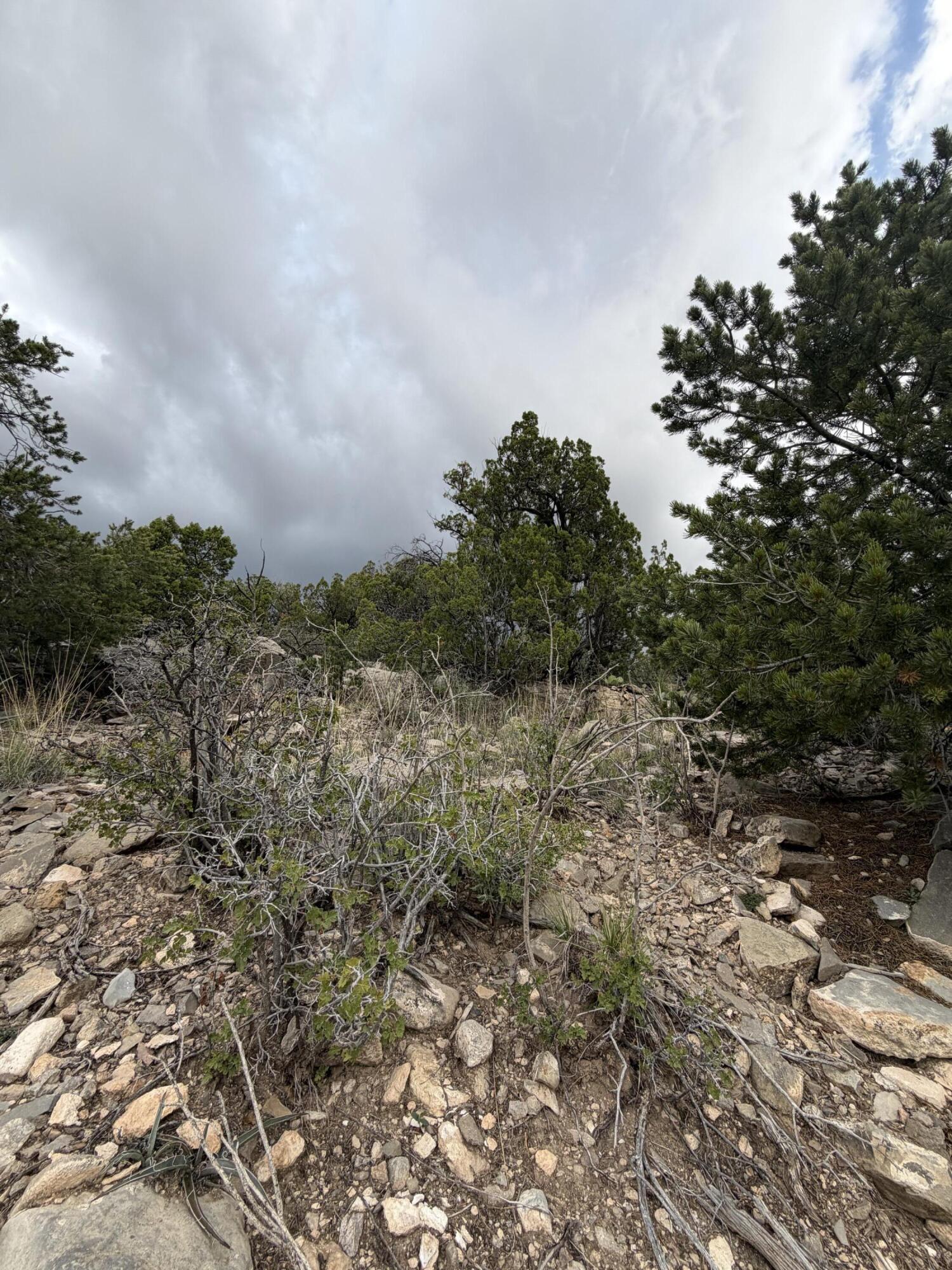 Skyline Ct Tract 6B