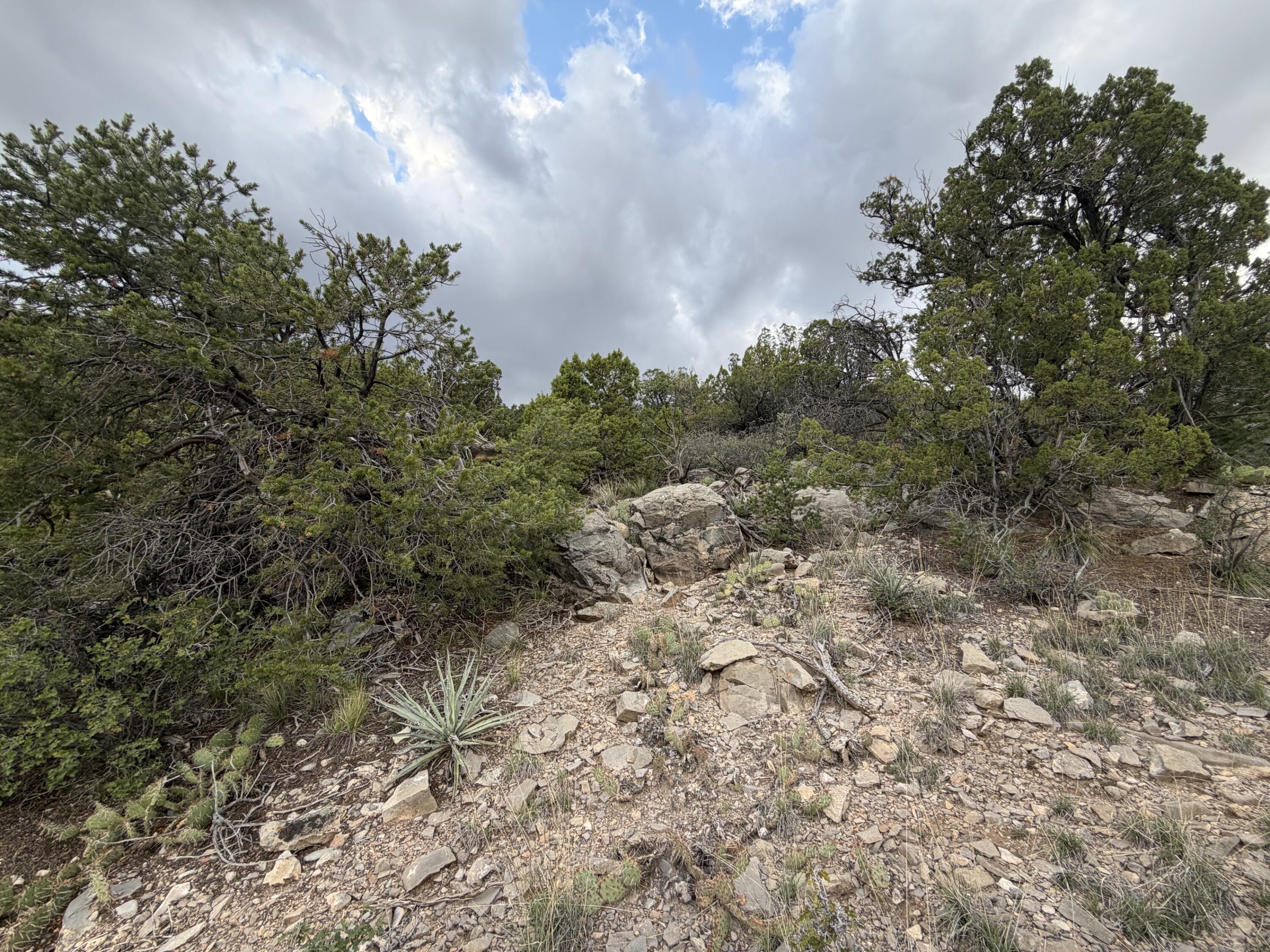Skyline Ct Tract 6B