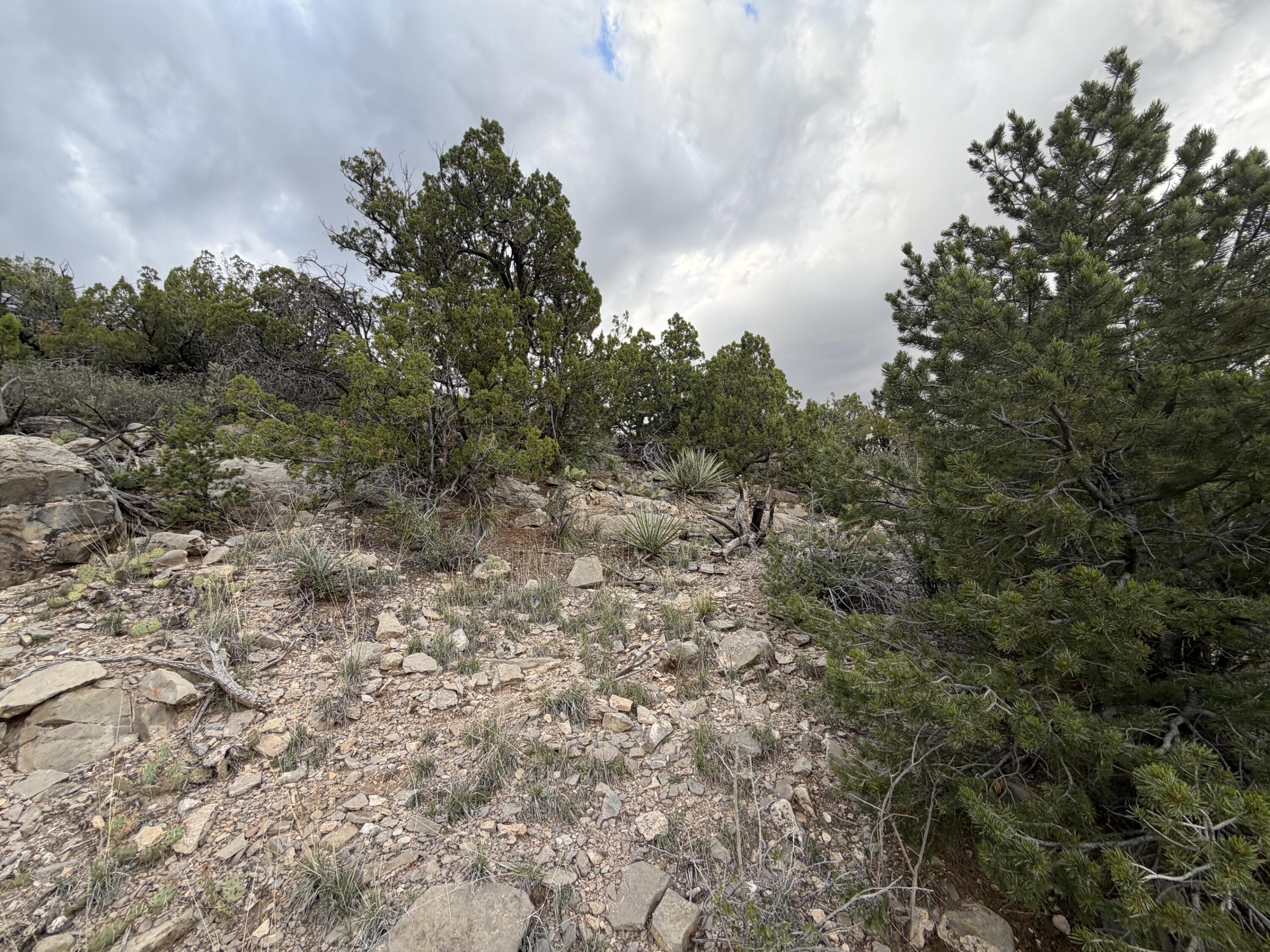 Skyline Ct Tract 6B