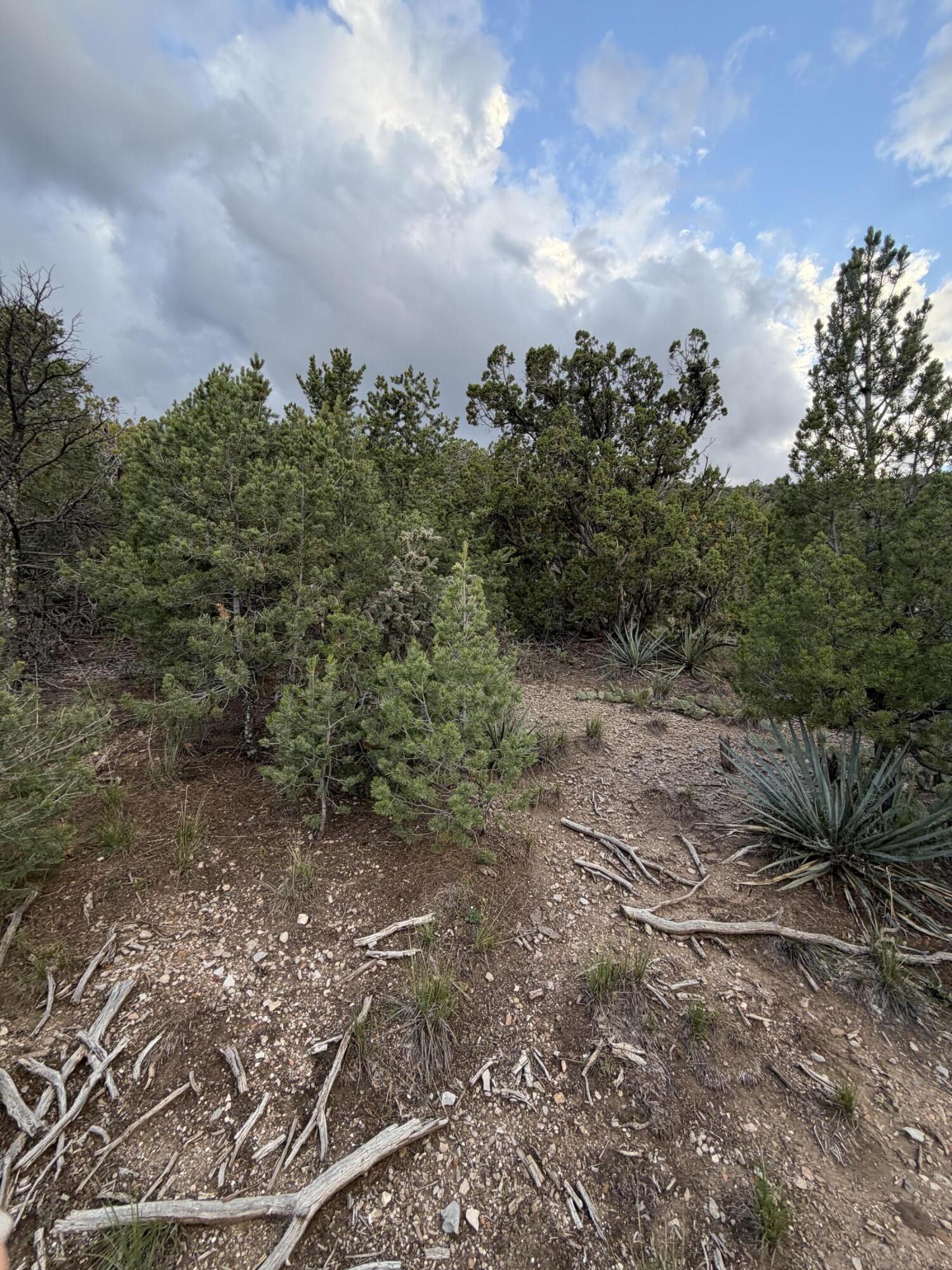 Skyline Ct Tract 6D