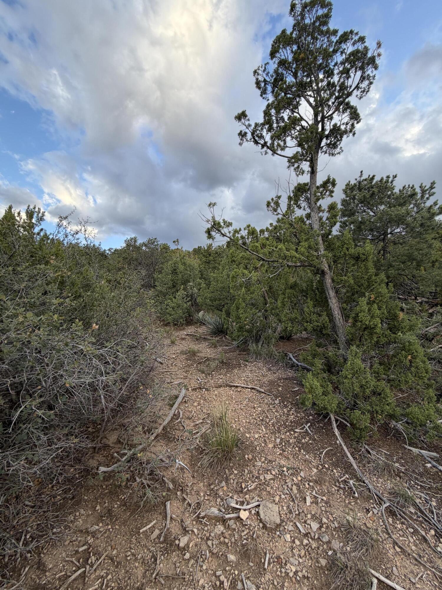 Skyline Ct Tract 6D