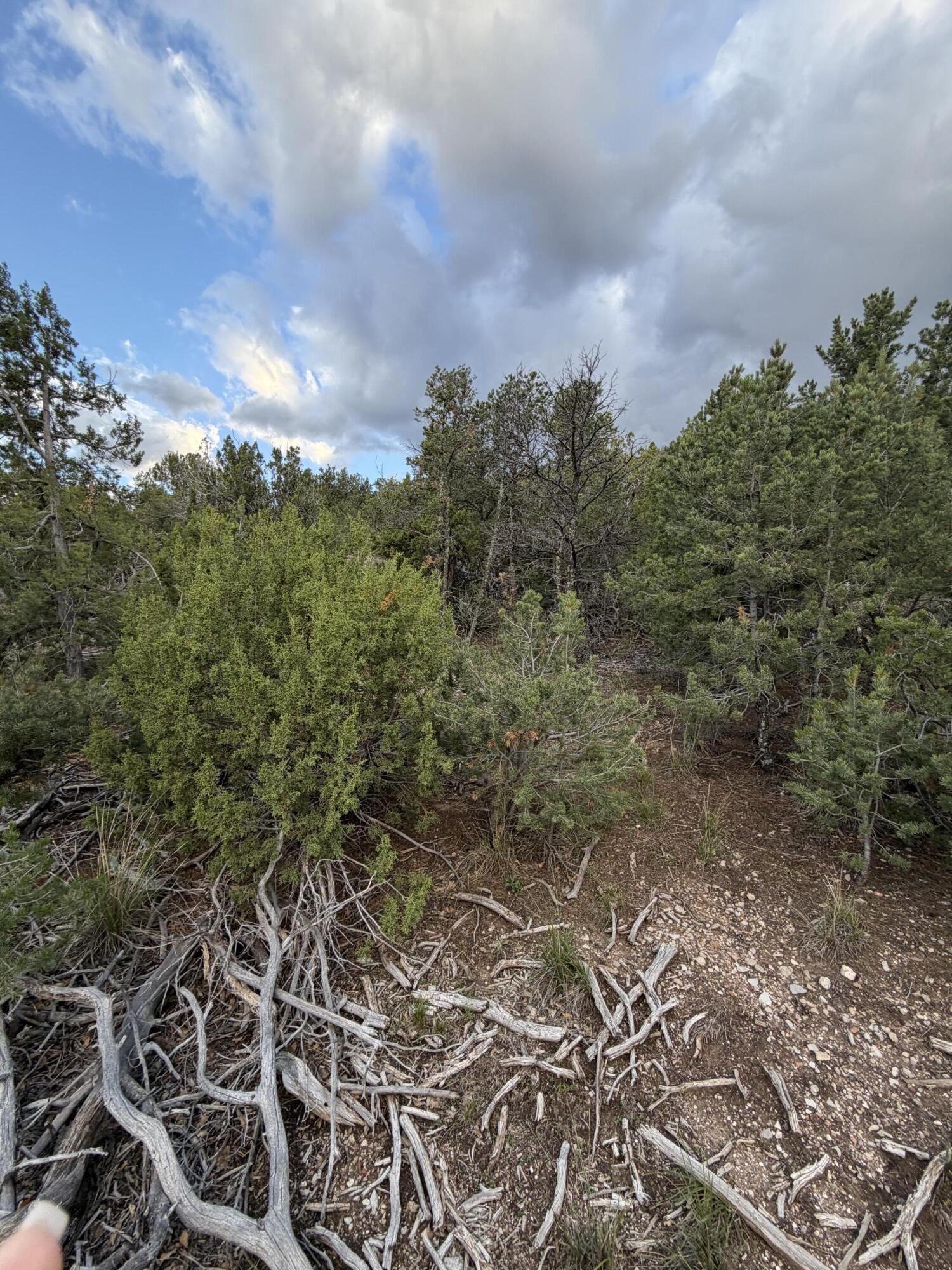 Skyline Ct Tract 6D
