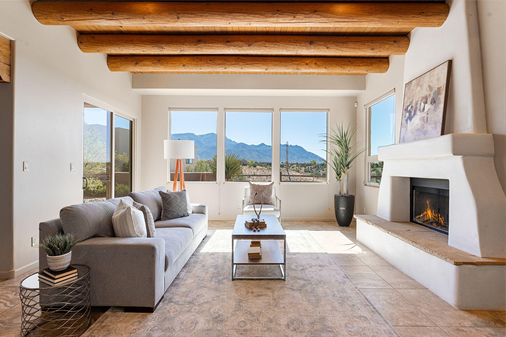 11 Mimbres Court