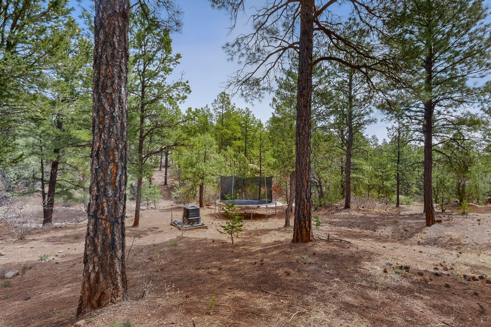 88 Pinon Ridge