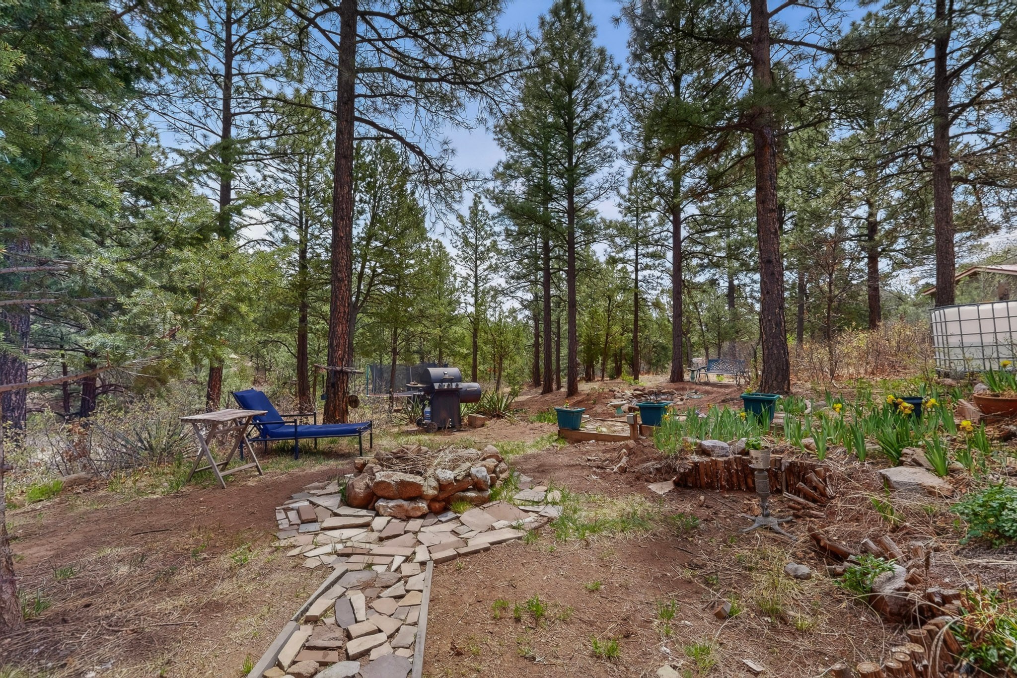 88 Pinon Ridge