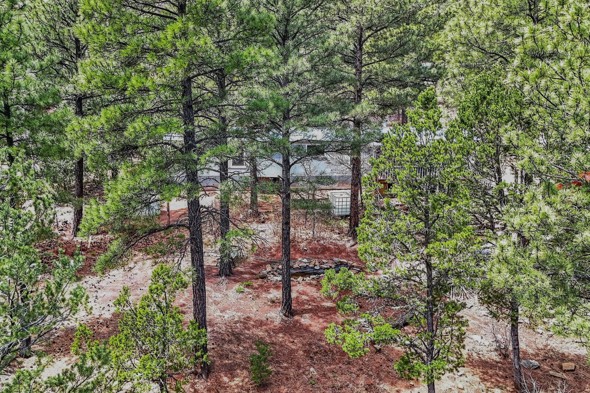 88 Pinon Ridge