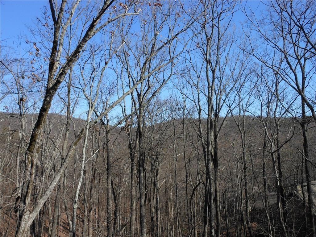 3847 Wilderness Parkway