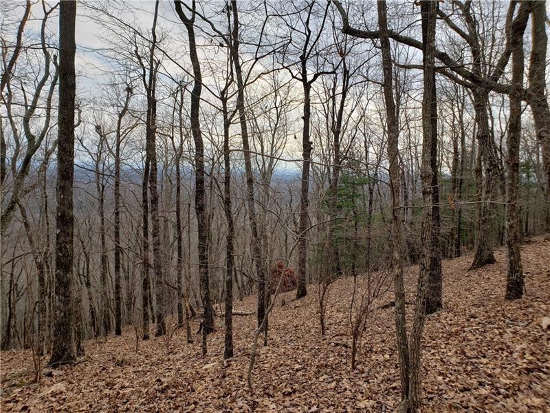 8242 Cox Mountain Drive