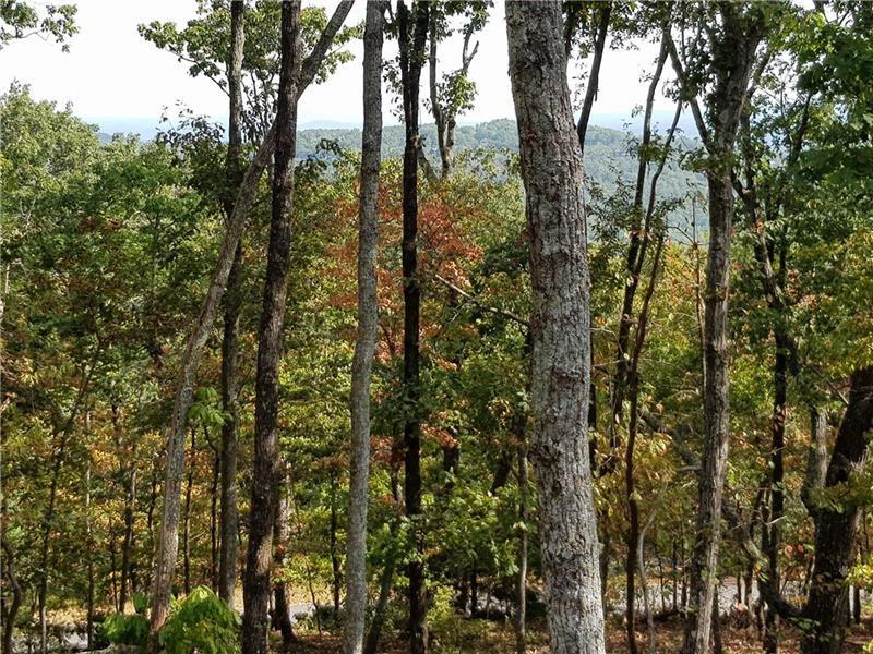 8242 Cox Mountain Drive