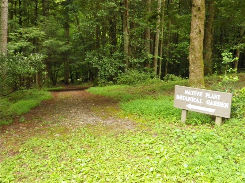 8242 Cox Mountain Drive