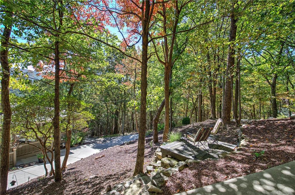 272 Bee Tree Ridge Court