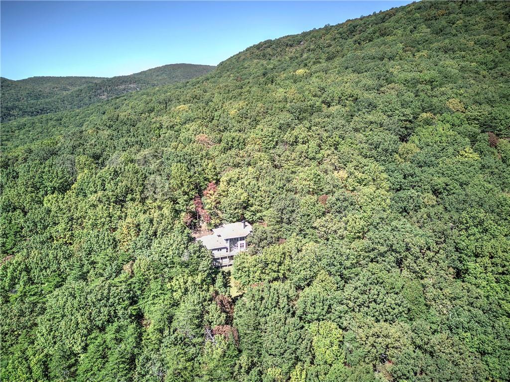 272 Bee Tree Ridge Court