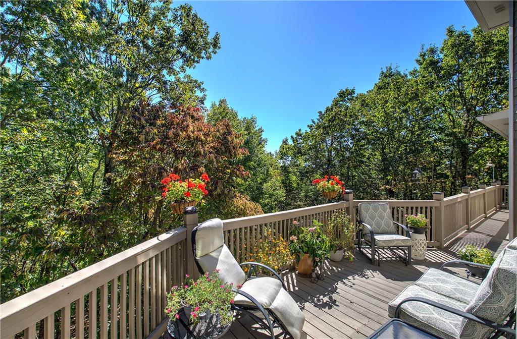 272 Bee Tree Ridge Court