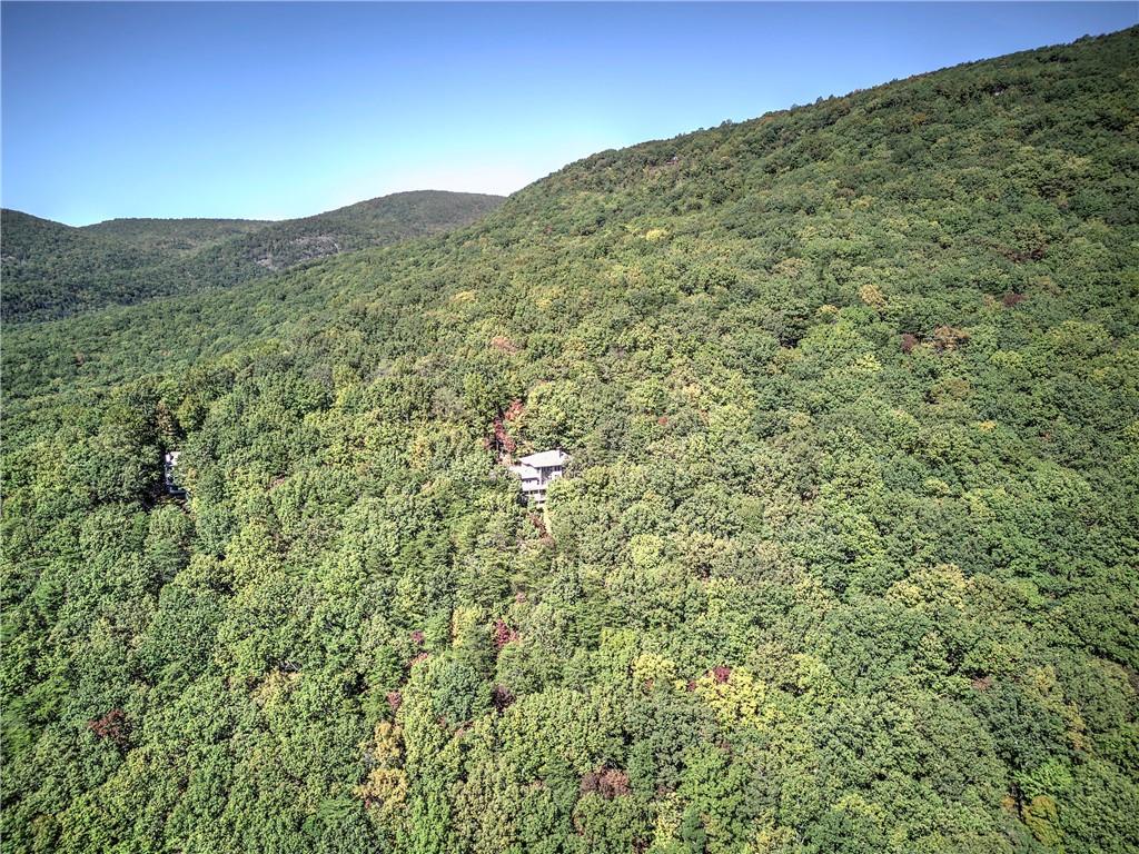 272 Bee Tree Ridge Court