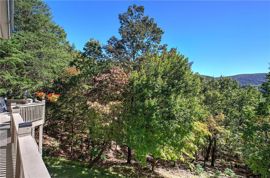 272 Bee Tree Ridge Court