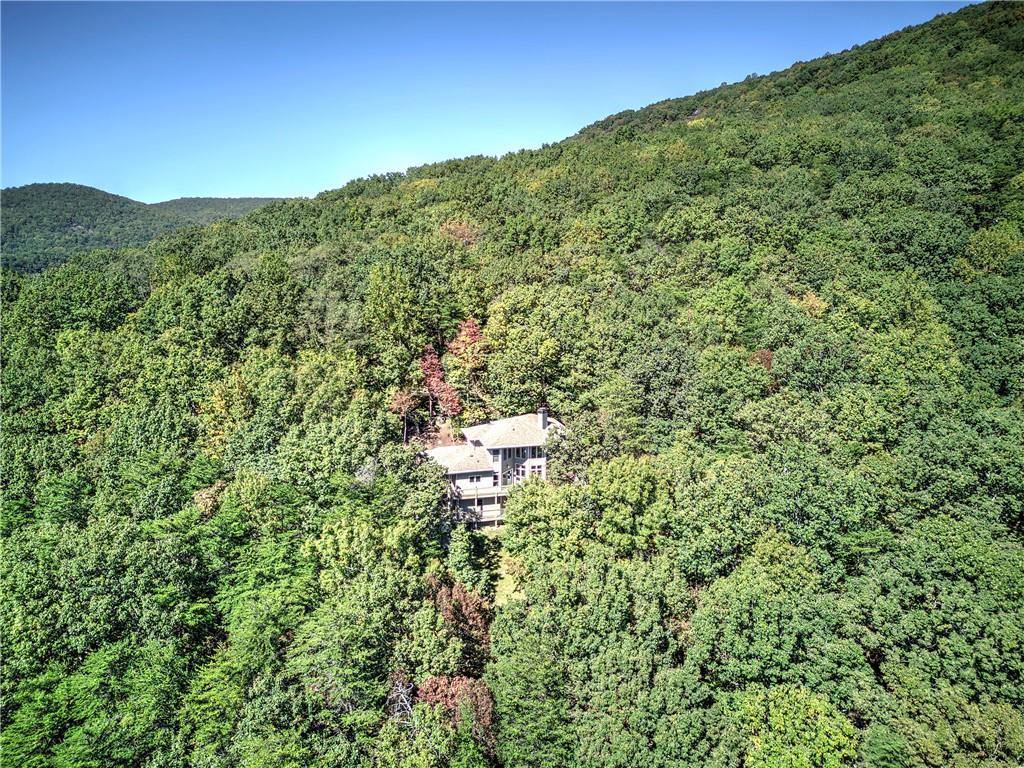 272 Bee Tree Ridge Court