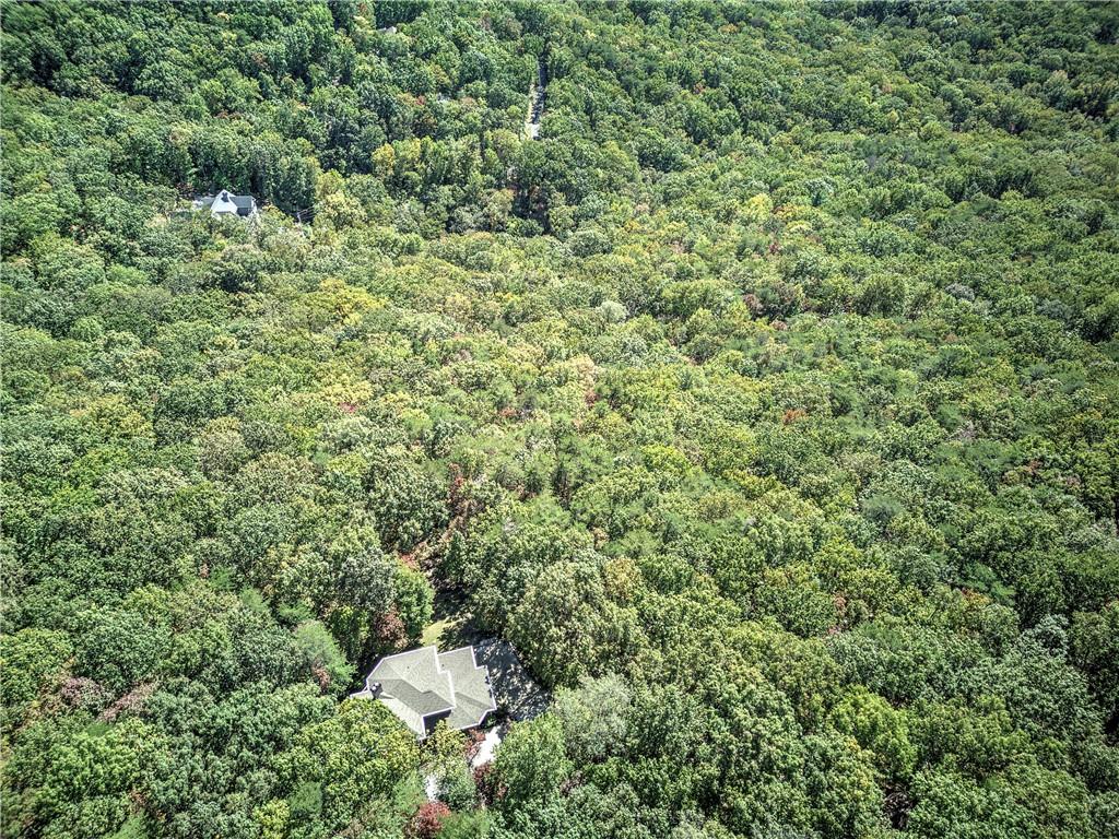 272 Bee Tree Ridge Court