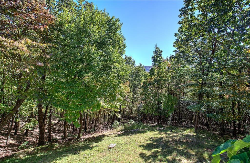272 Bee Tree Ridge Court