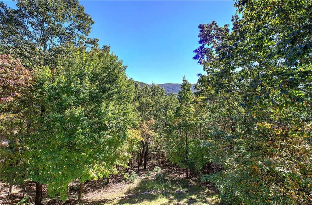 272 Bee Tree Ridge Court