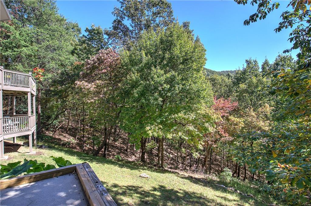 272 Bee Tree Ridge Court