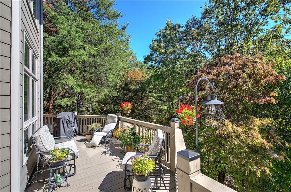 272 Bee Tree Ridge Court