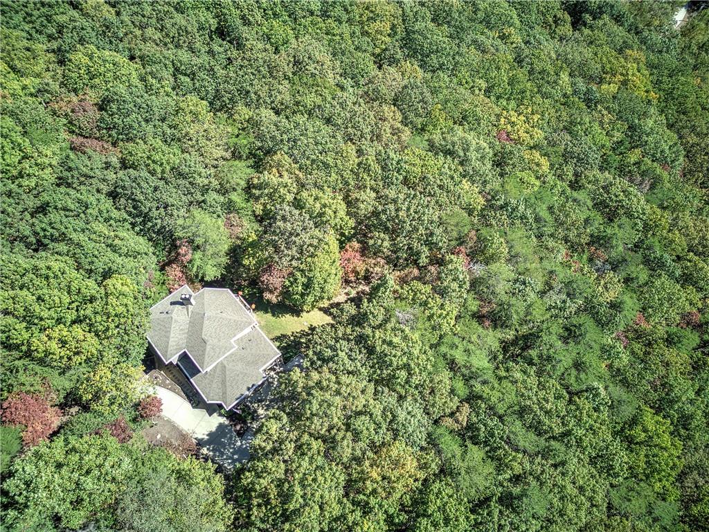 272 Bee Tree Ridge Court