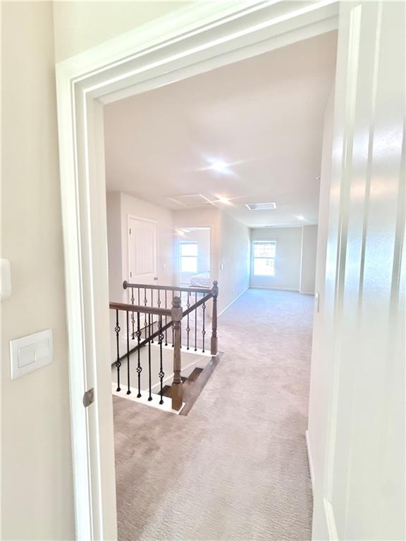 65 Creekbed Court
