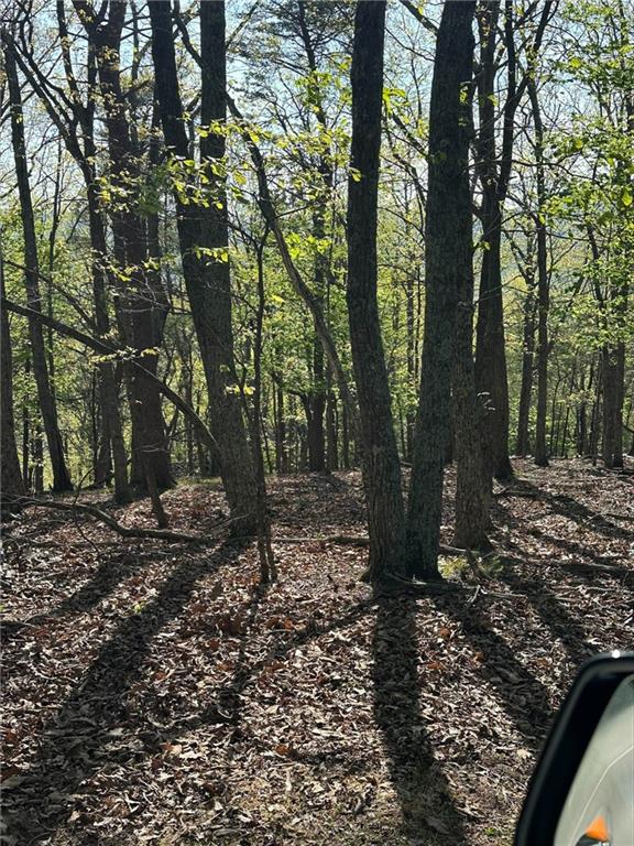 141 Wood Fern Knoll
