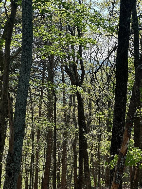 141 Wood Fern Knoll