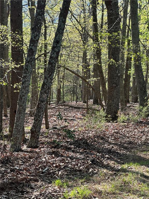 141 Wood Fern Knoll