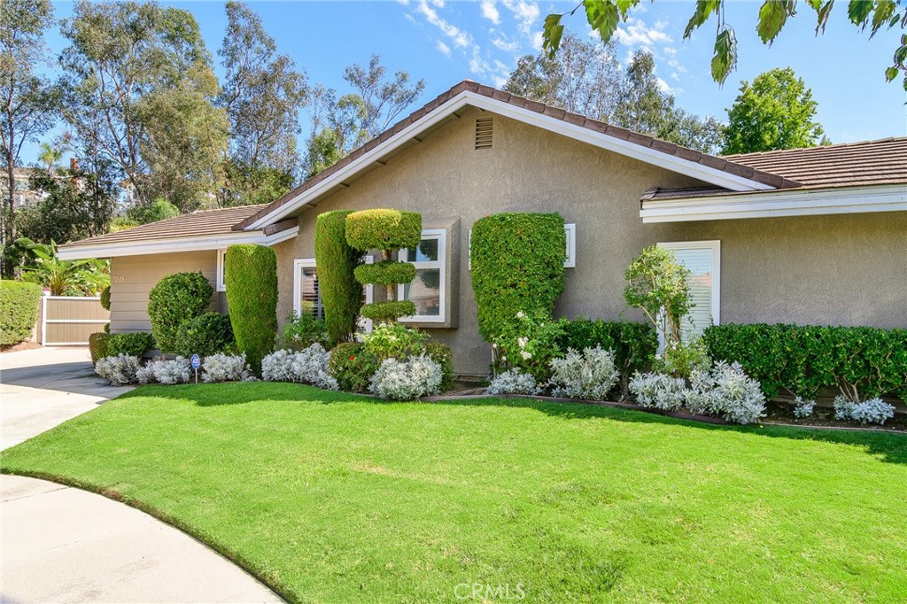 7248 E Criollo Circle