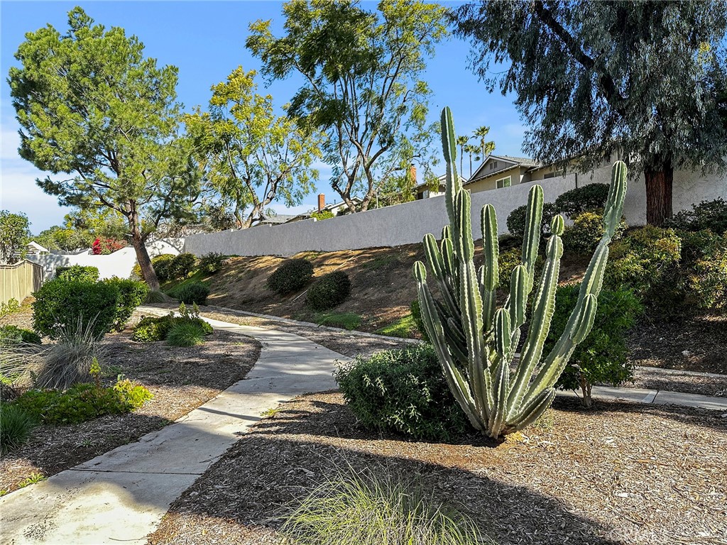 6735 Vista Loma